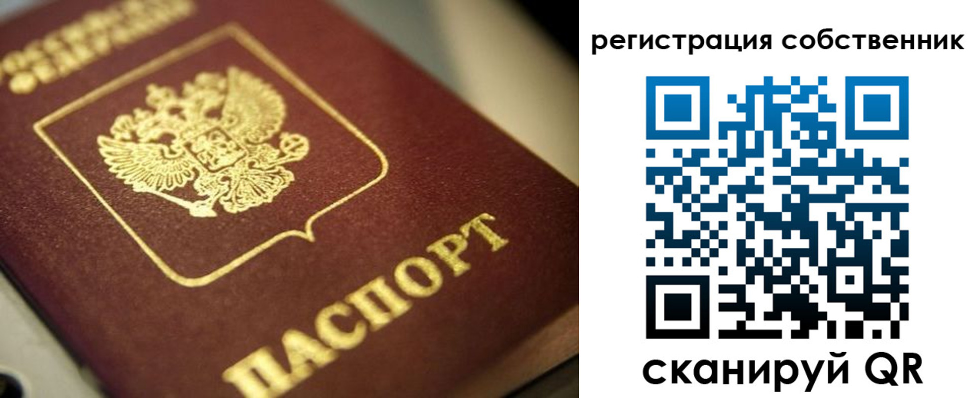 прописка в Трубчевске